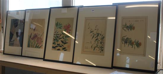 Five Japanese woodblock prints of flowers and a kimono design